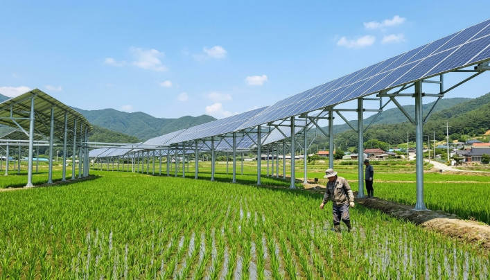 논 600평 영농형 태양광 설치 수익